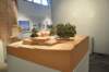 dsc_0480_ridimensionare_small.jpg