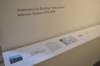 dsc_0484_ridimensionare_small.jpg