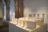 dsc_0508_ridimensionare_small.jpg