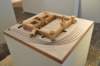 dsc_0509_ridimensionare_small.jpg