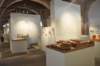 dsc_0519_ridimensionare_small.jpg