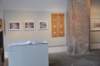 dsc_0527_ridimensionare_small.jpg