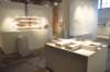 dsc_0535_ridimensionare_small.jpg