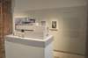 dsc_0545_ridimensionare_small.jpg