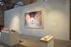 dsc_0547_ridimensionare_small.jpg
