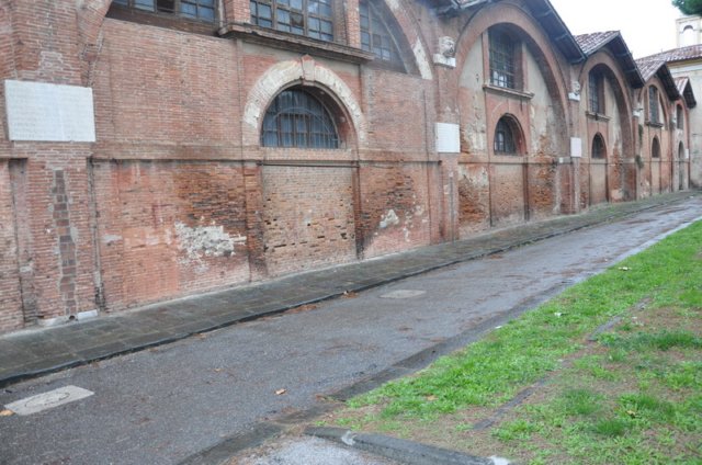 dsc_0555_ridimensionare.jpg